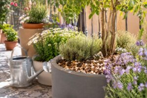 Vasi sul balcone con pacciamatura estiva per ridurre evaporazione e calore