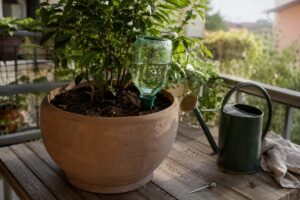 Bottiglia riciclata capovolta nel vaso per irrigazione lenta fai da te