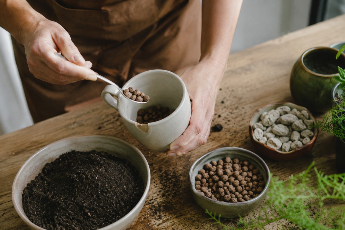 Preparazione di una tazza con terriccio drenante per succulente